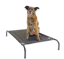 Cargar imagen en el visor de la galería, Cama elevada para mascotas