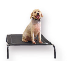 Cargar imagen en el visor de la galería, Cama elevada para mascotas