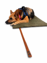 Cargar imagen en el visor de la galería, Estera Portátil Premium para Perros ANDITI

